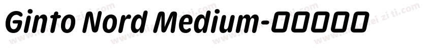 Ginto Nord Medium字体转换